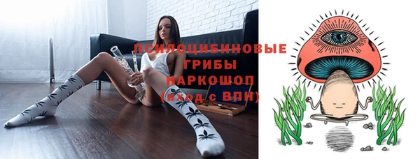 прущая мука Богородицк