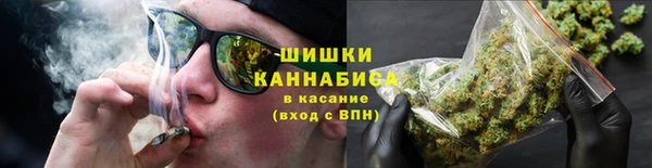 прущая мука Богородицк