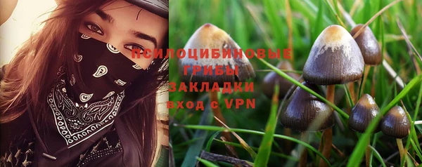 шишки Богородск