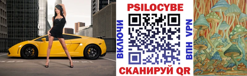Галлюциногенные грибы мухоморы  даркнет сайт  Мглин 